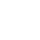 washington icon