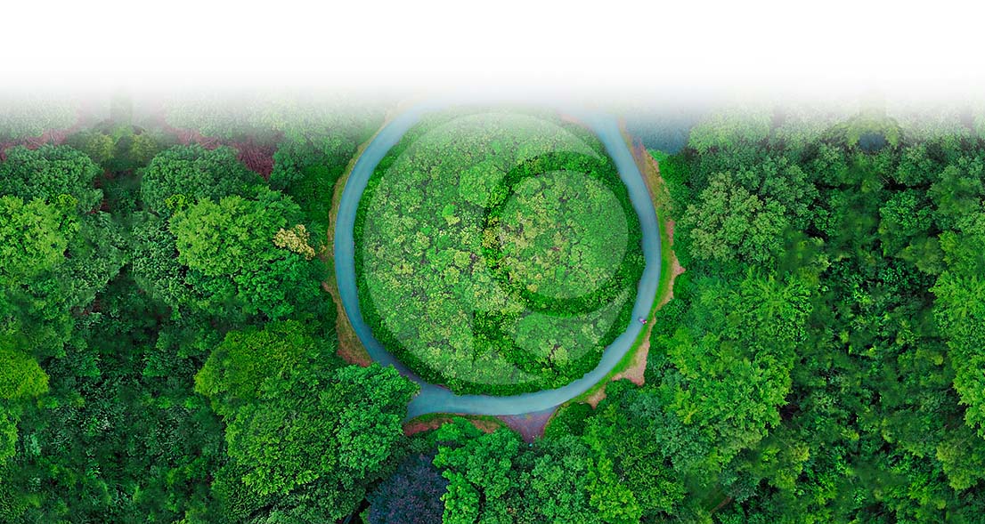 green-worldwide-tree-donation-header3