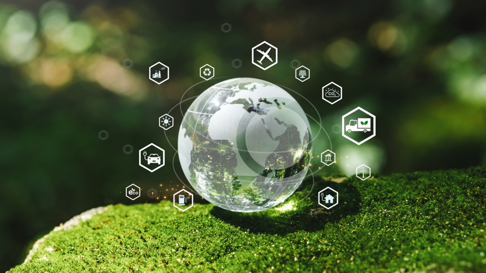 Earth Month 2025, Earth Day 2025, Ecochallenge, Green Worldwide Shipping, Community Involvement