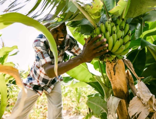 GREEN WORLDWIDE SHIPPING ANNOUNCES Q2 2025 TREES DONATION IMPACT